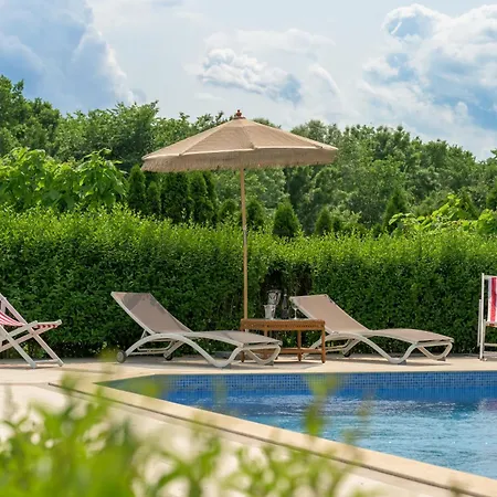 Azur Ap19 * Shkorpilovtsi