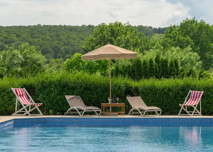 Azur Ap19 شكوربيلوفتسي