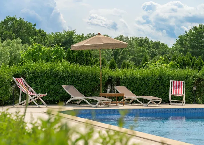 Azur Ap19 * شكوربيلوفتسي